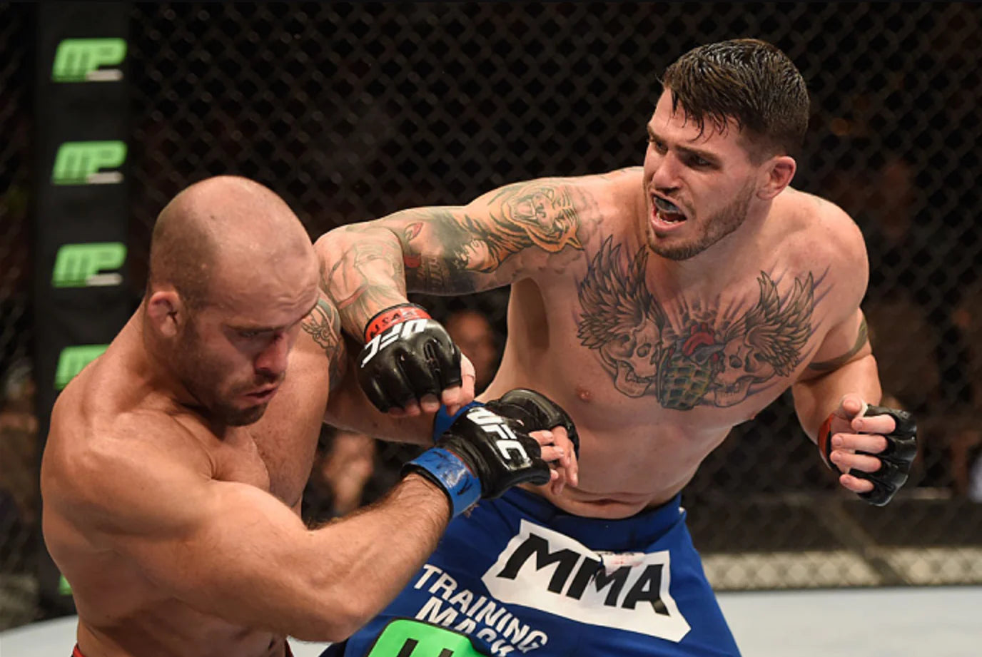 Chris Camozzi: The Silent Veteran Who Turned Violence Into a Vocation