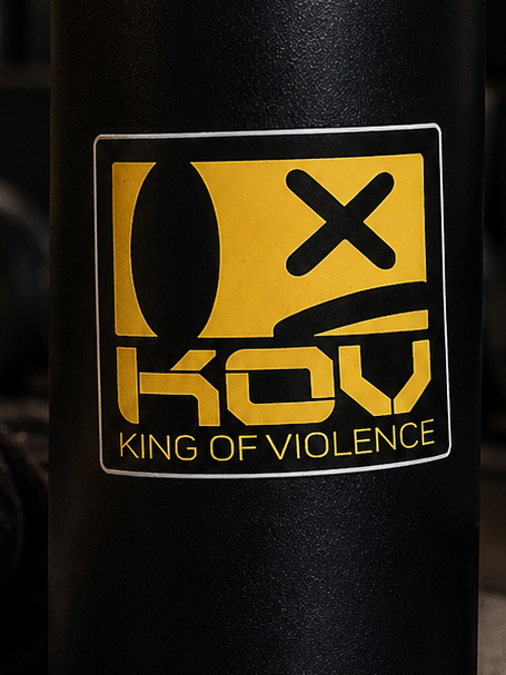 BAD BOY STICKER